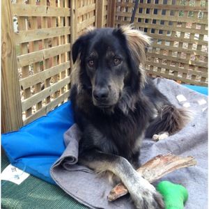 Meet your Posher, Rhonda